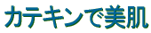 �J�e�L���Ŕ���