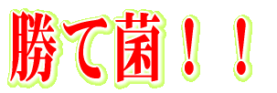勝て菌!!